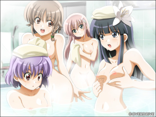 Illustration for article titled The Sex Games That Steam Censors